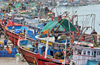 Fishing boats return empty-handed